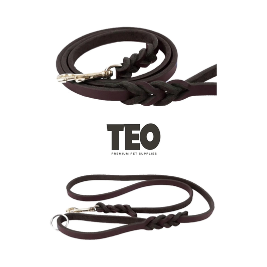 Teo Premium Leather Dog Leash – Oil Brown, L, Braided & Durable