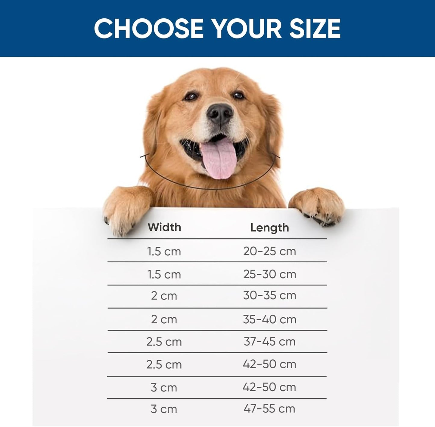 Comfort Webbing Dog Collar โ Black (25โ30 cm)