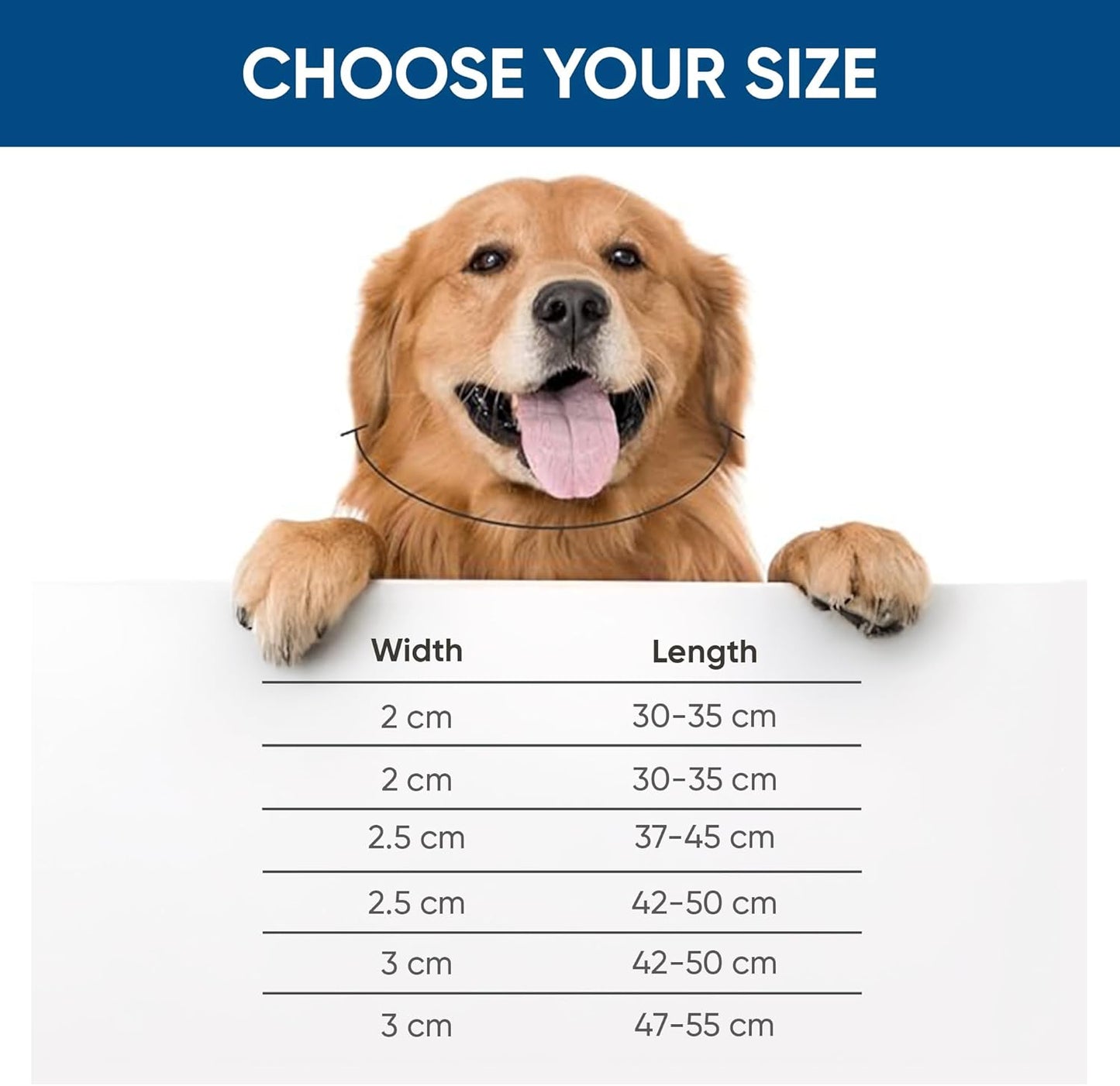 Comfort Webbing Ornamental Bone Dog Collar โ Black (30โ35 cm)