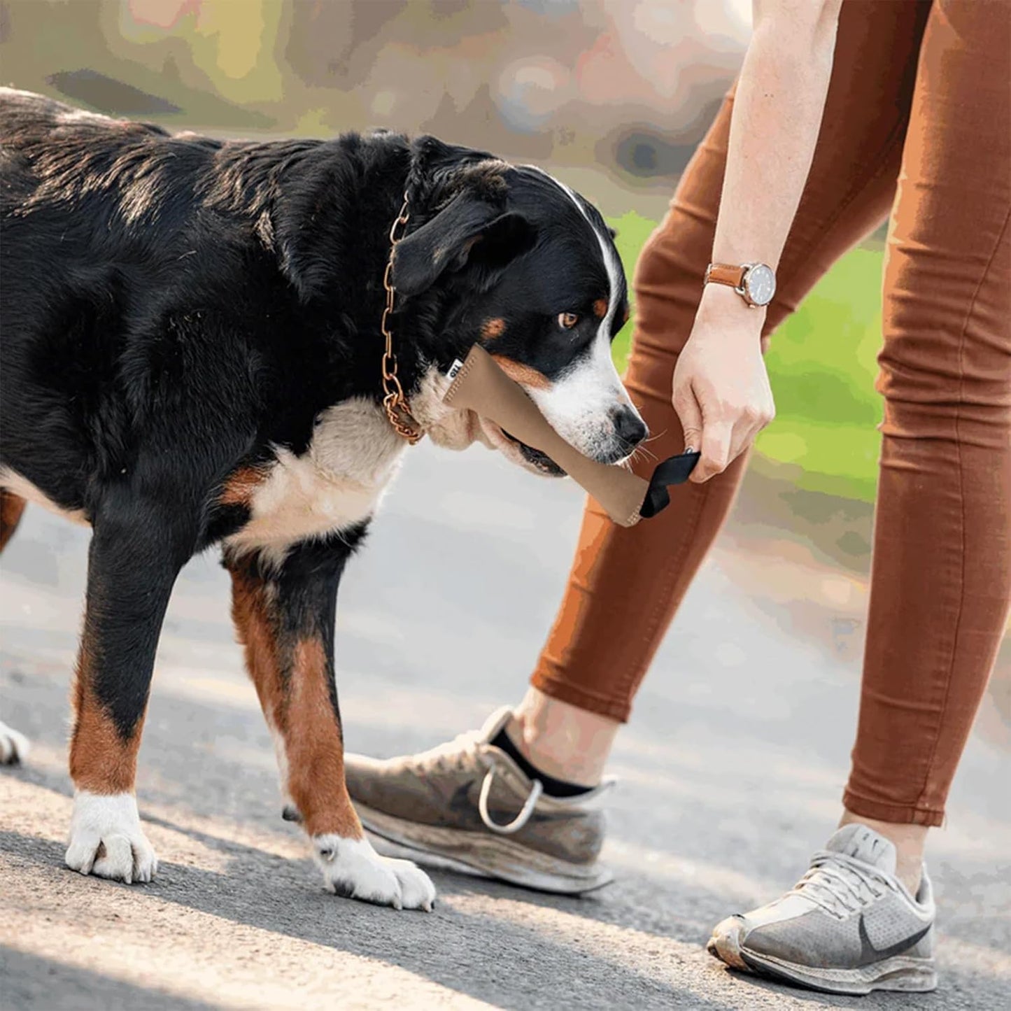 Teo Suede Leather Dog Bite Pads โ Durable Training & Chew Toy (6ร20 cm)