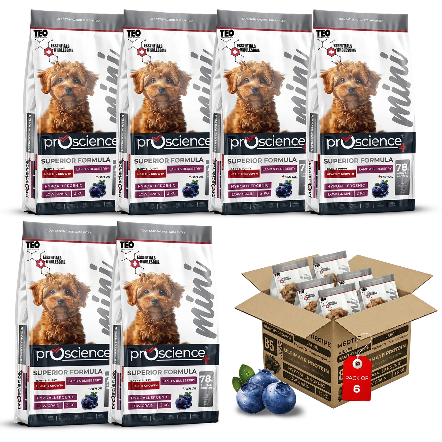 Teo Premium Proscience Mini Puppy Lamb & Blueberry Dog Food 2KG, 78% Animal Protein, Hypoallergenic Low-Grain Formula, DHA & Fish Oil for Brain Development, Healthy Growth for Small Breed Puppies