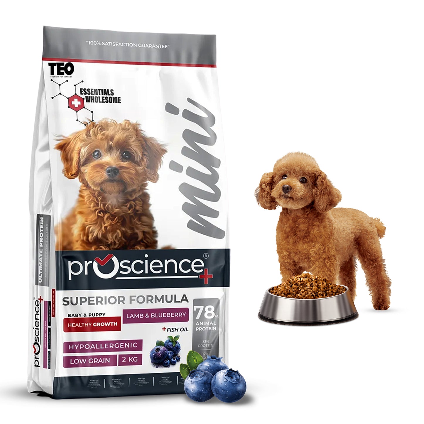 Teo Premium Proscience Mini Puppy Lamb & Blueberry Dog Food 2KG, 78% Animal Protein, Hypoallergenic Low-Grain Formula, DHA & Fish Oil for Brain Development, Healthy Growth for Small Breed Puppies