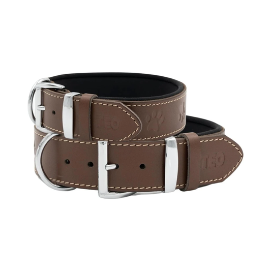 Leather Dog Collar – Brown, XS+, Adjustable & Durable