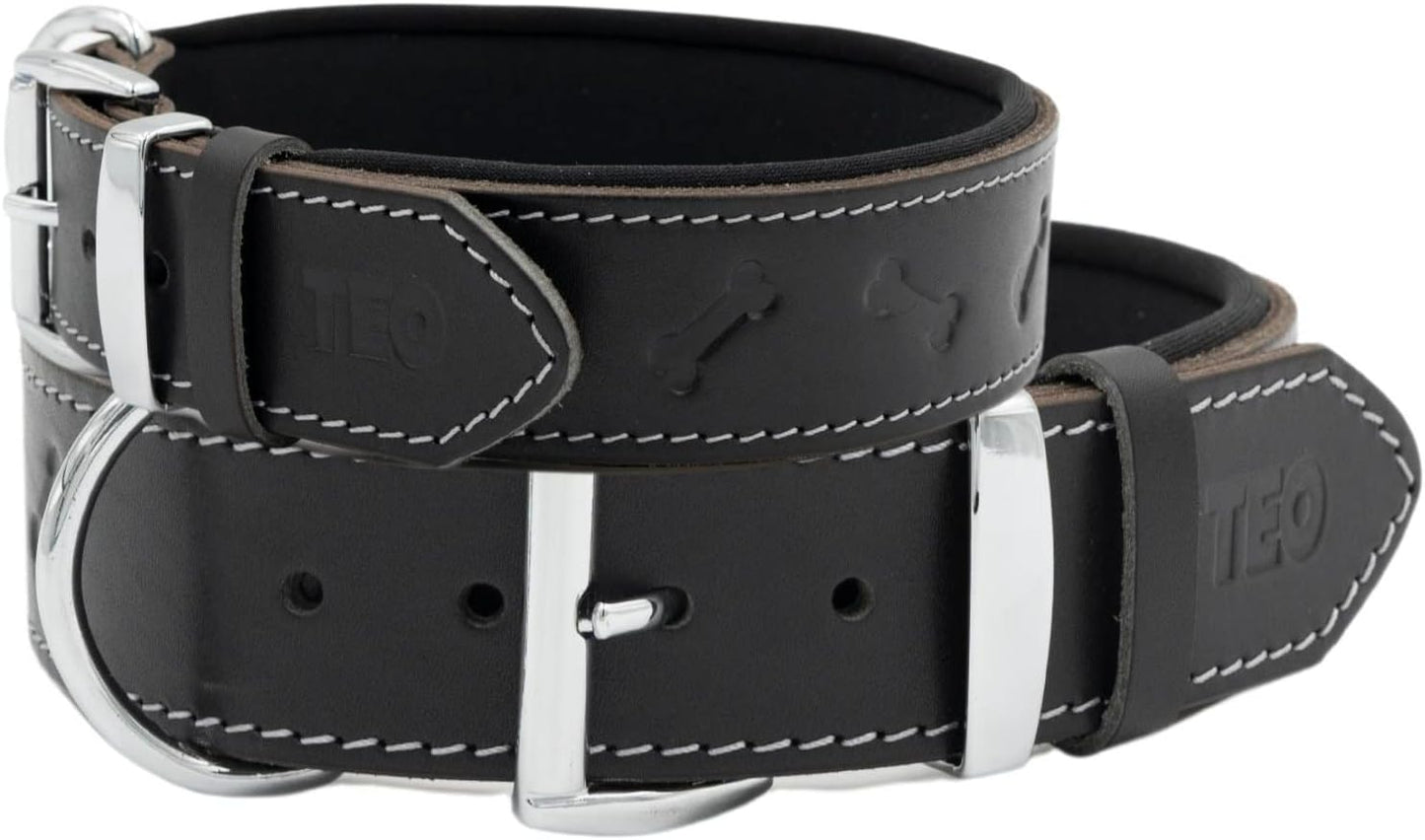 Teo Premium Leather Dog Collar – Black, XS+, Adjustable & Durable