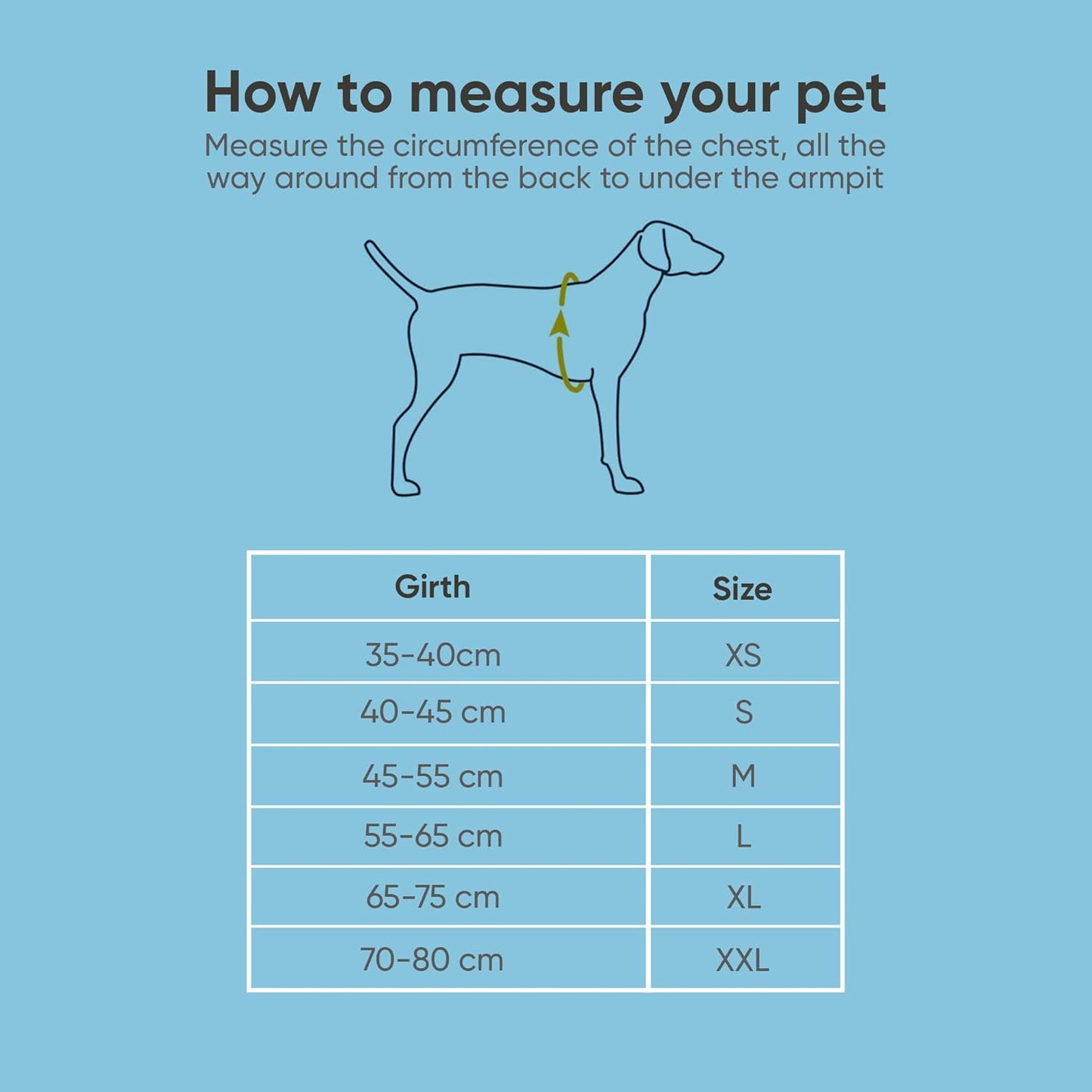 Airy Webbing No-Pull Dog Harness – Reflective, Adjustable & Padded Vest (Black, Small)