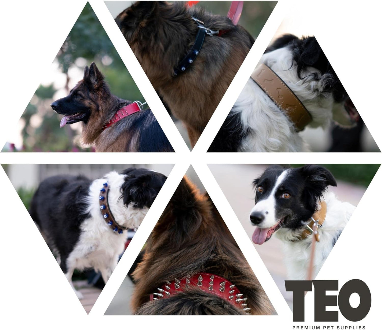 Teo Premium Leather Dog Collar – Black, XS+, Adjustable & Durable