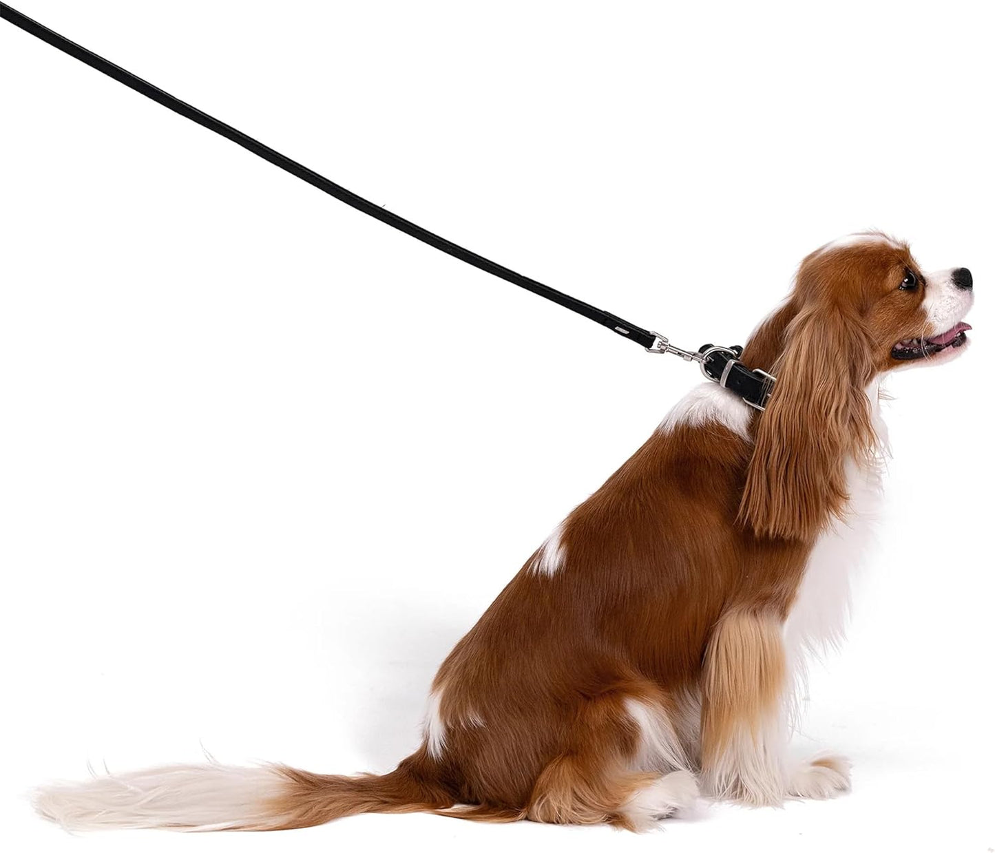 Comfort Webbing Dog Leash – Red, Single Handle (80–120 cm)