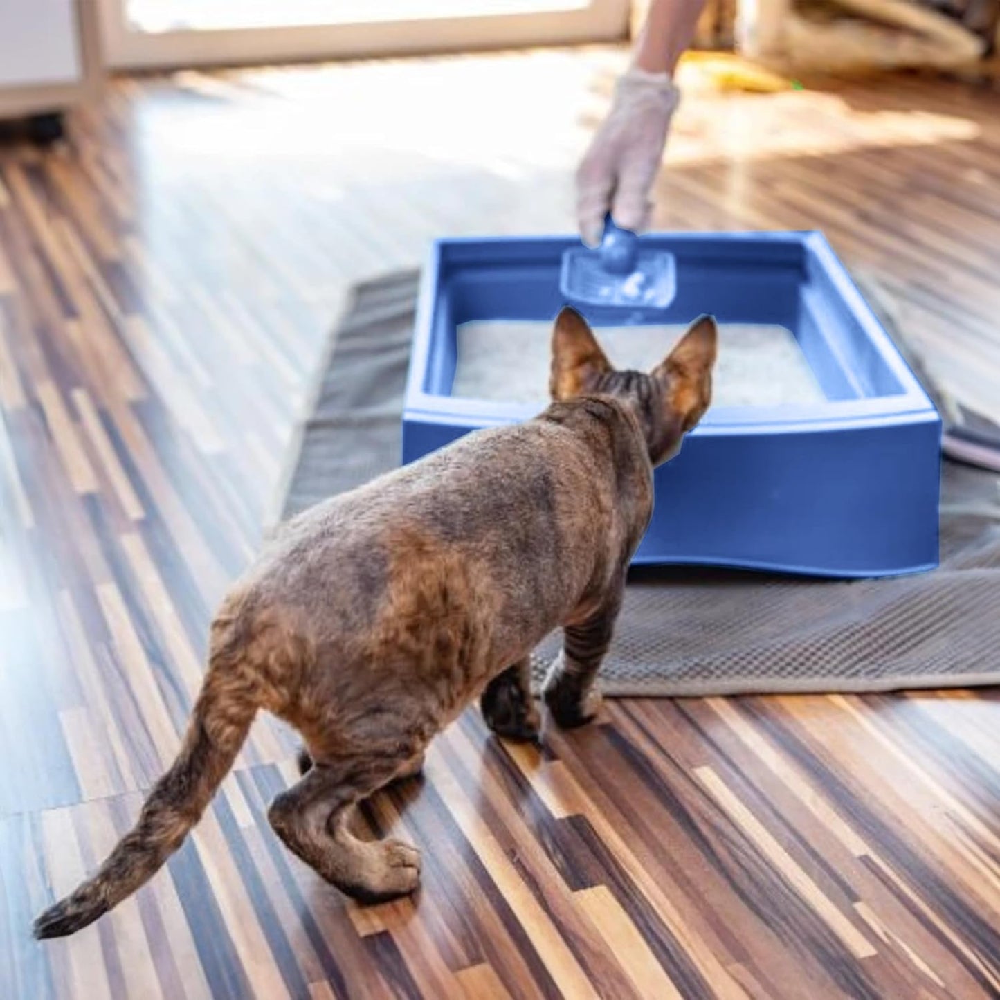 Felin Cat Litter – Natural Bentonite, Dust-Free, Clumping, 10L