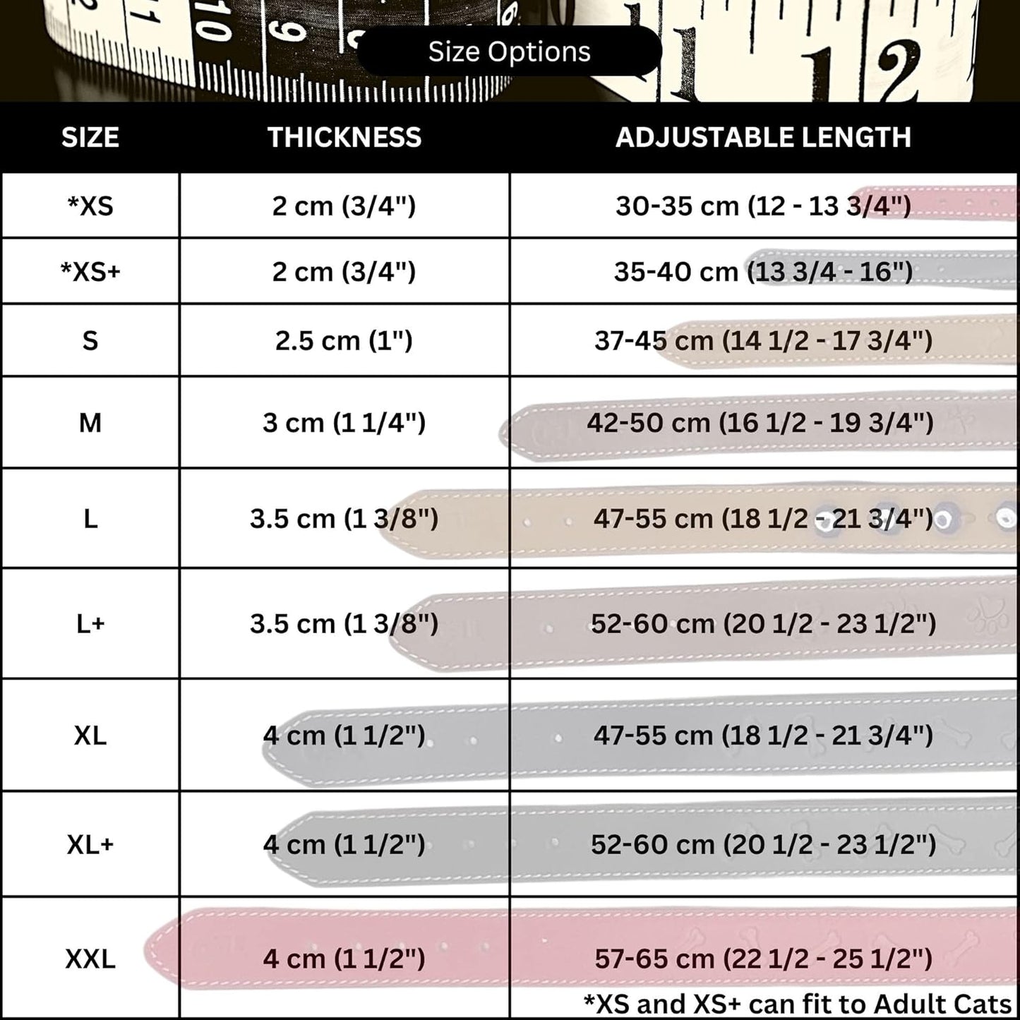 Teo Premium Leather Dog Collar – Black, XS+, Adjustable & Durable