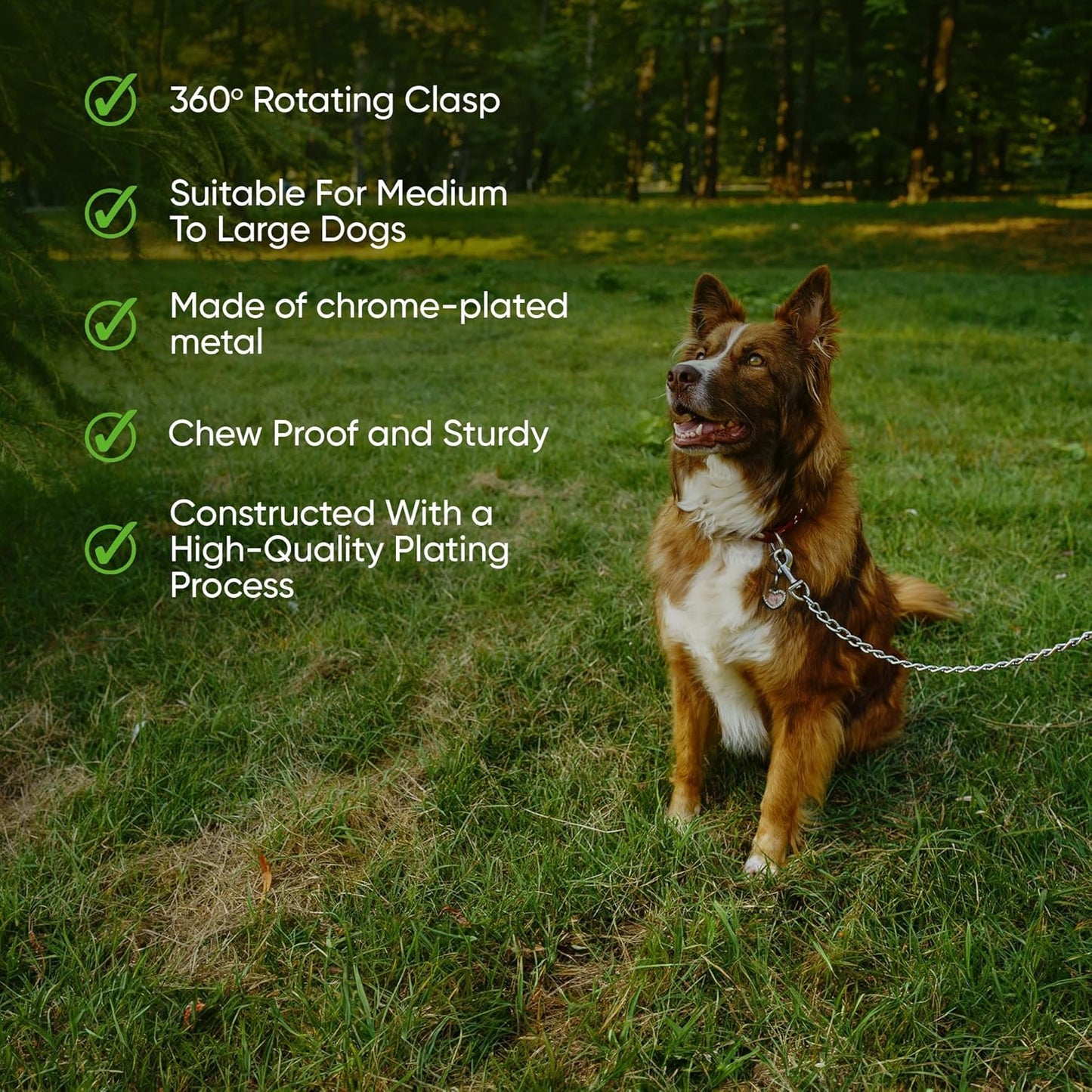 Comfort Webbing Dog Chain Leash – Heavy-Duty Metal Leash (110 cm)