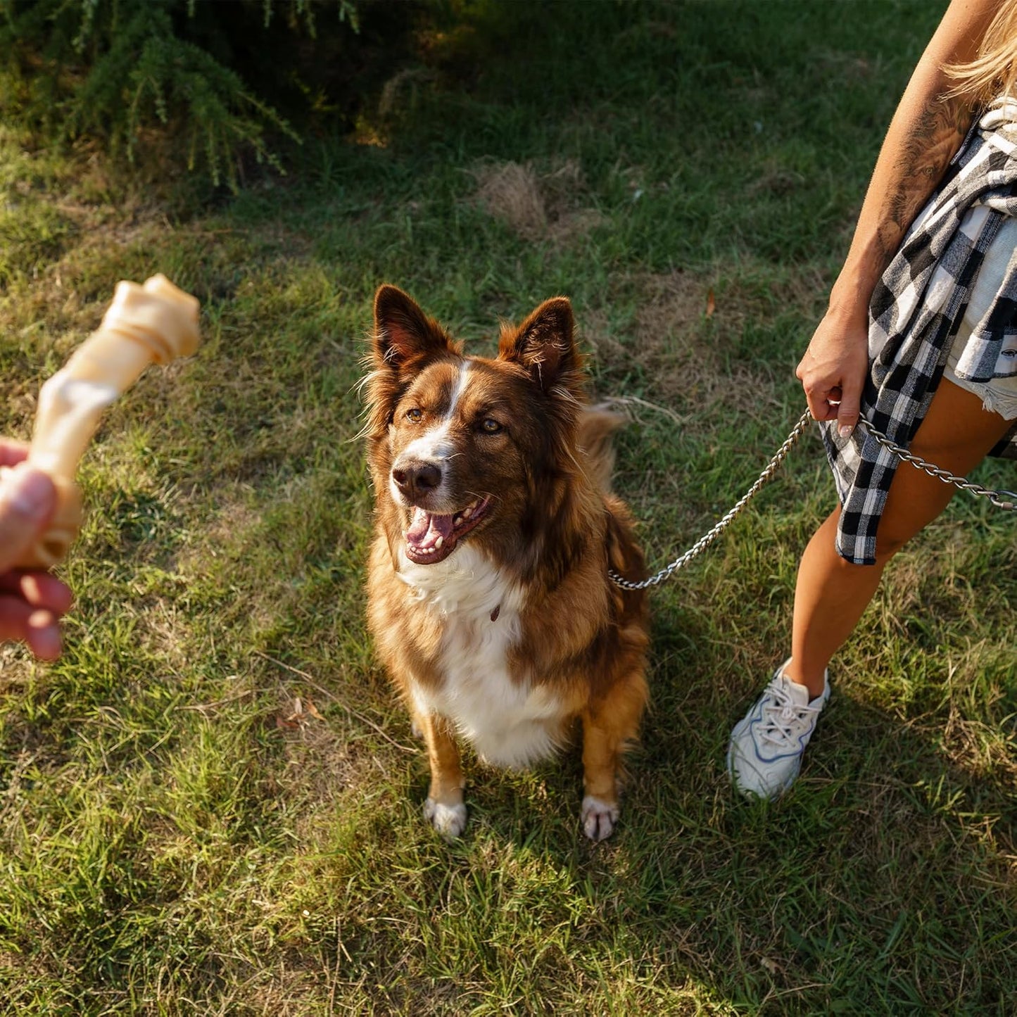 Comfort Webbing Dog Chain Leash – Heavy-Duty Metal Leash (110 cm)